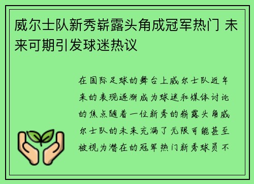 威尔士队新秀崭露头角成冠军热门 未来可期引发球迷热议