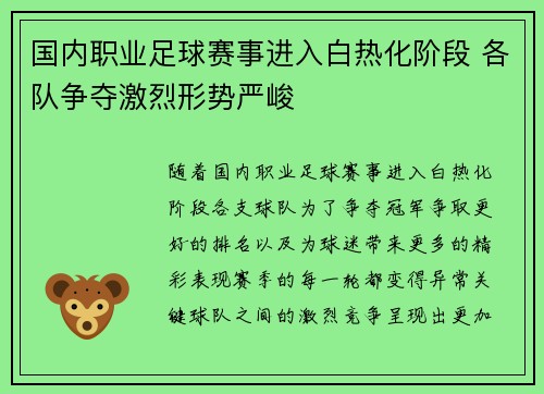 国内职业足球赛事进入白热化阶段 各队争夺激烈形势严峻