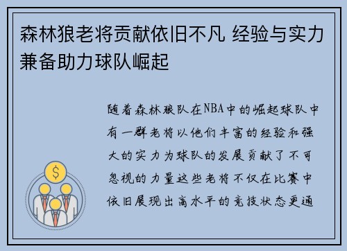 森林狼老将贡献依旧不凡 经验与实力兼备助力球队崛起